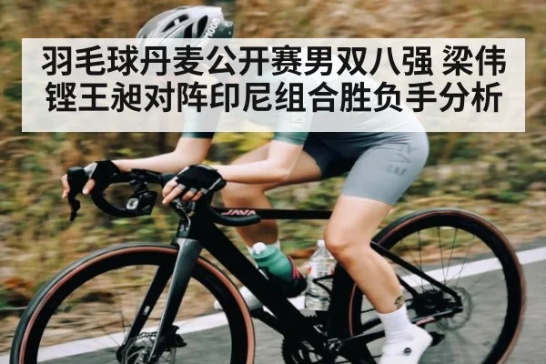 羽毛球丹麦公开赛男双八强 梁伟铿王昶对阵印尼组合胜负手分析（kaiyun）